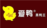 愛鴨