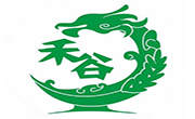禾谷炒飯
