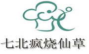 七北瘋燒仙草