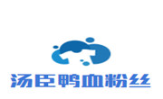 湯臣鴨血粉絲