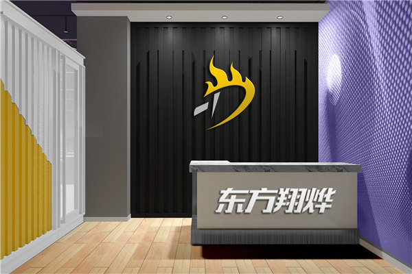 東方翔燁乒乓球教育