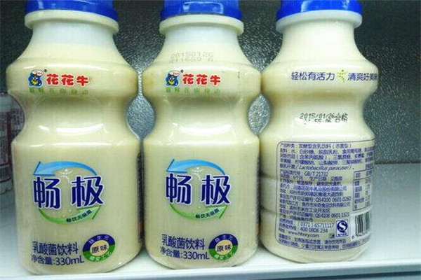 花花牛酸奶加盟能掙錢嗎