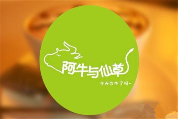 阿牛與仙草加盟費用