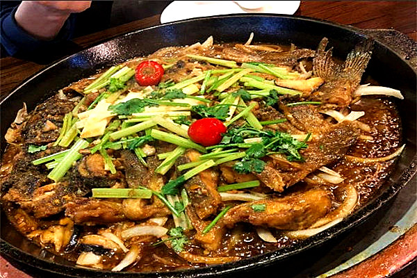 如何加盟老板戀上魚