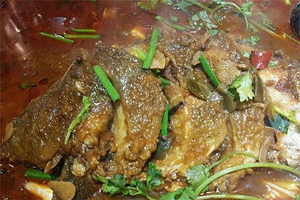 如何加盟老板戀上魚