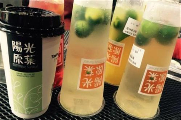 耐思陽光原葉投資多少錢