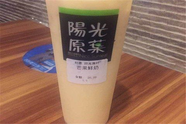 耐思陽光原葉投資多少錢