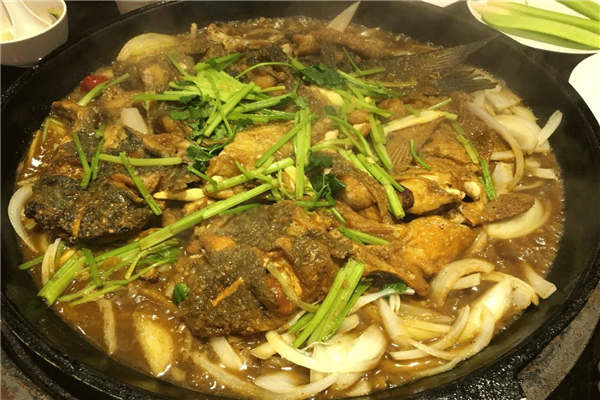 老板戀上魚總部在哪里