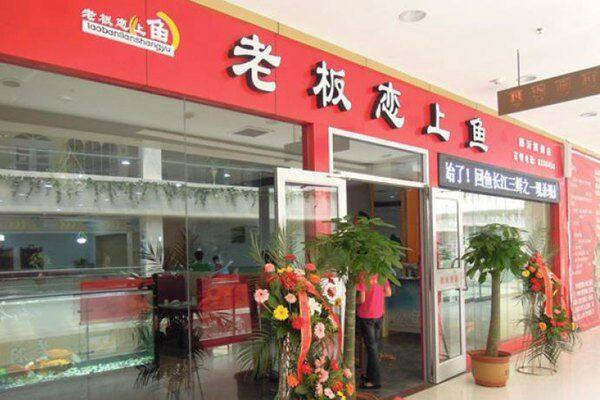 老板戀上魚總部在哪里