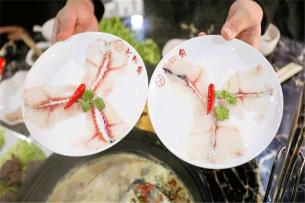 七秒魚加盟是騙局嗎