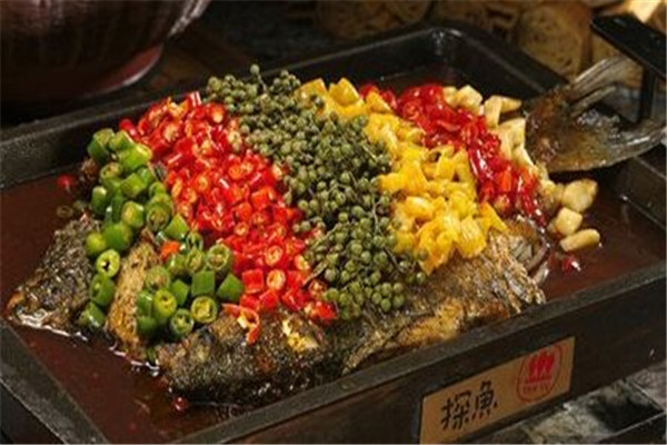 三線城市探魚加盟費用