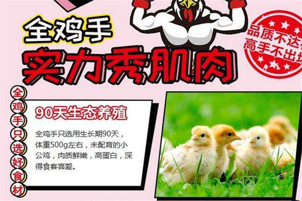 全雞手炸雞加盟