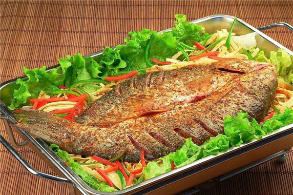 探魚加盟賺錢