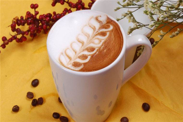 舞茗加盟