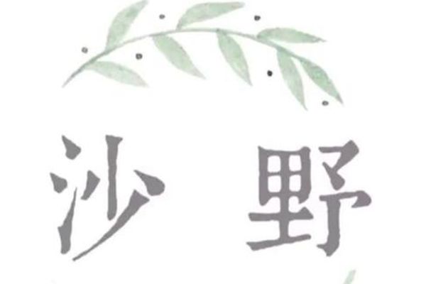 沙野輕食怎么加盟