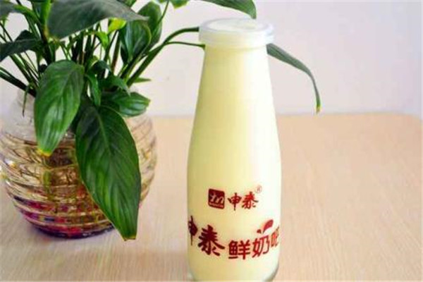 申泰鮮奶加盟費多少