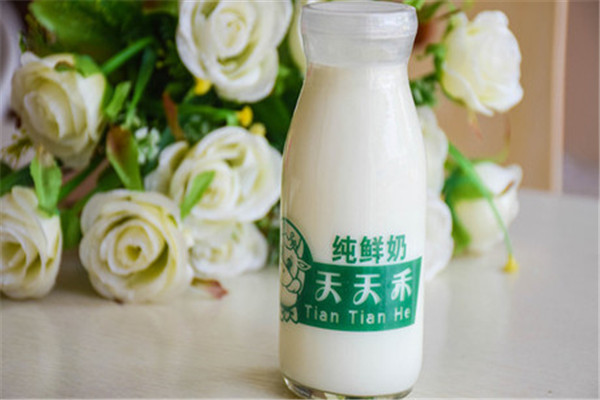 天天禾鮮奶吧加盟費多少