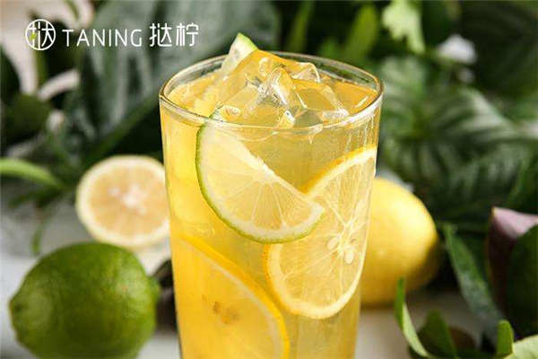 撻檸總部在哪里