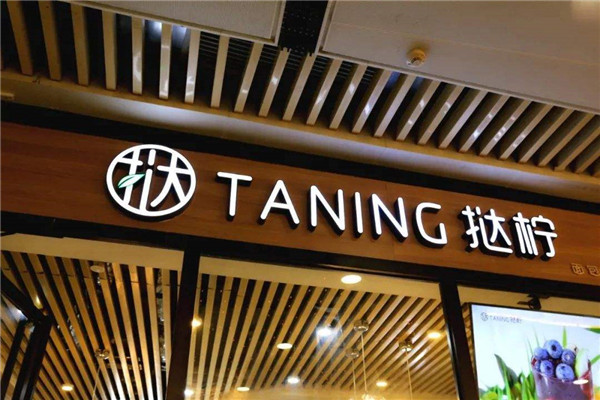 taning撻檸為什么火