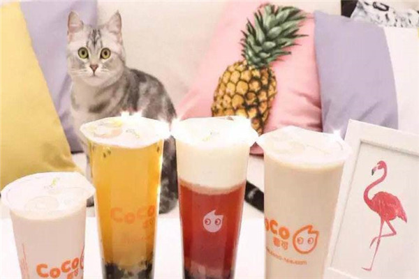 coco上海總公司在哪里