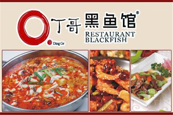 丁哥黑魚(yú)館加盟費(fèi)多少
