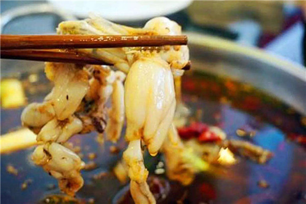 鼎中魚美蛙魚頭加盟費