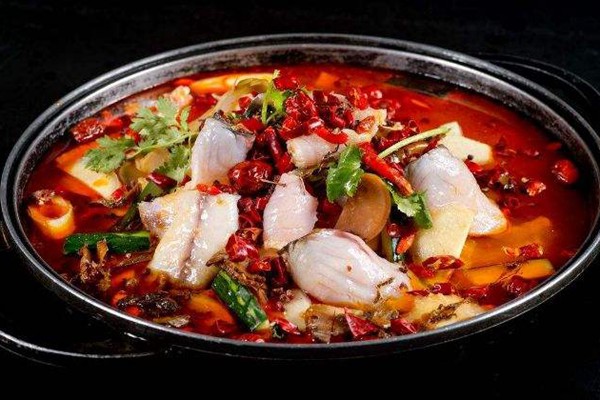 漁遇上魚口碑怎么樣