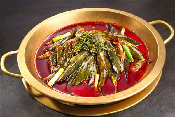 東灶魚頭火鍋全國有多少分店