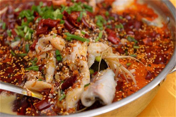 747火鍋魚總部實力如何