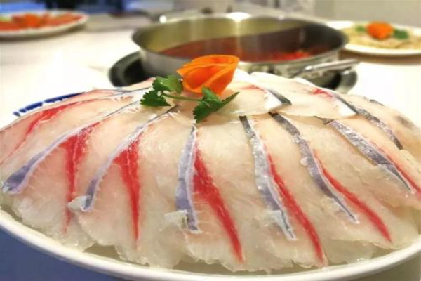 百歲魚總部在哪里