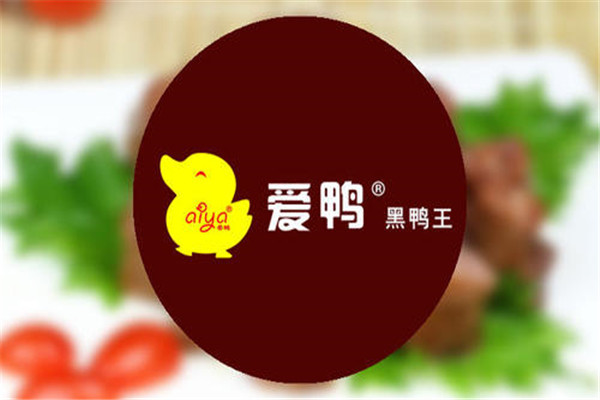 愛鴨加盟費