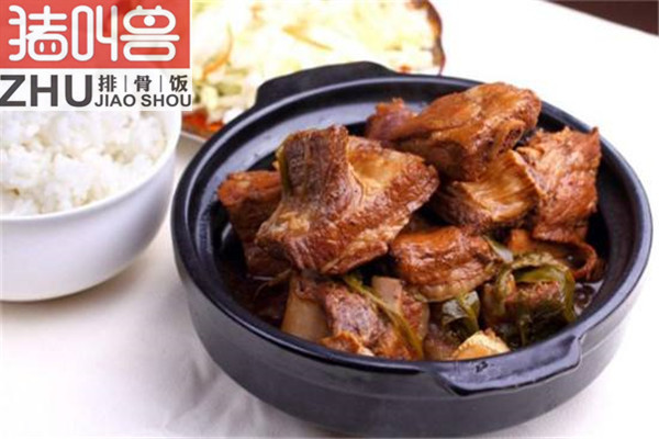 豬叫獸排骨飯加盟方式