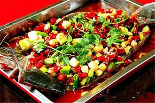 奇魚夫加盟費多少