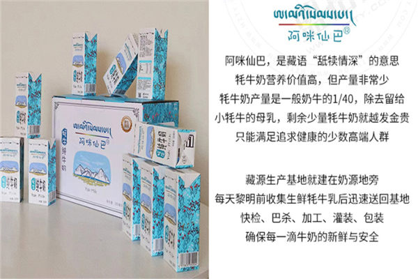 阿咪仙巴牦牛鮮奶加盟