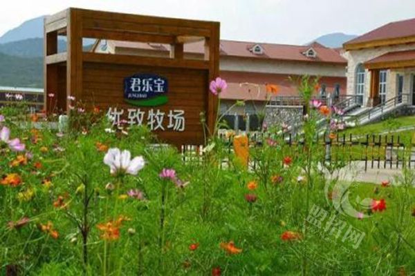 君樂寶酸奶縣級代理加盟多少錢