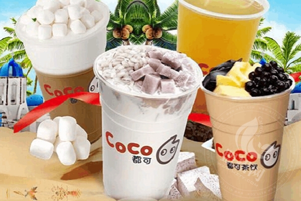 coco奶茶加盟費