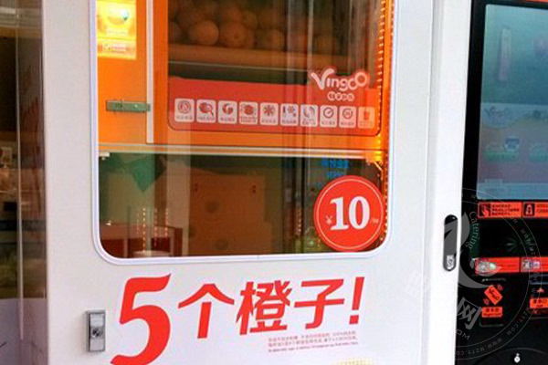 5個橙子榨汁機加盟費多少錢