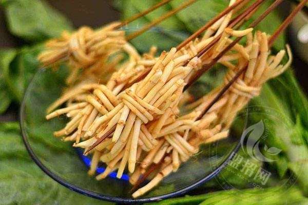 付小姐在成都加盟成本多少