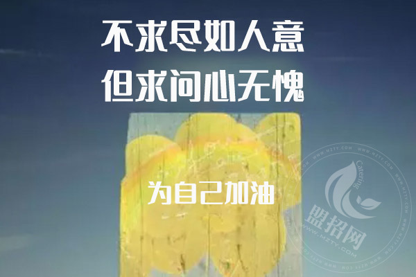 芝士焗飯加盟