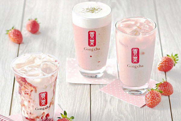 名貢貢茶是個坑嗎