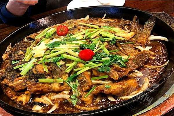 饞貓烤魚總部
