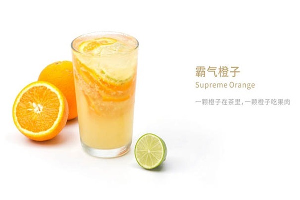 茶九度